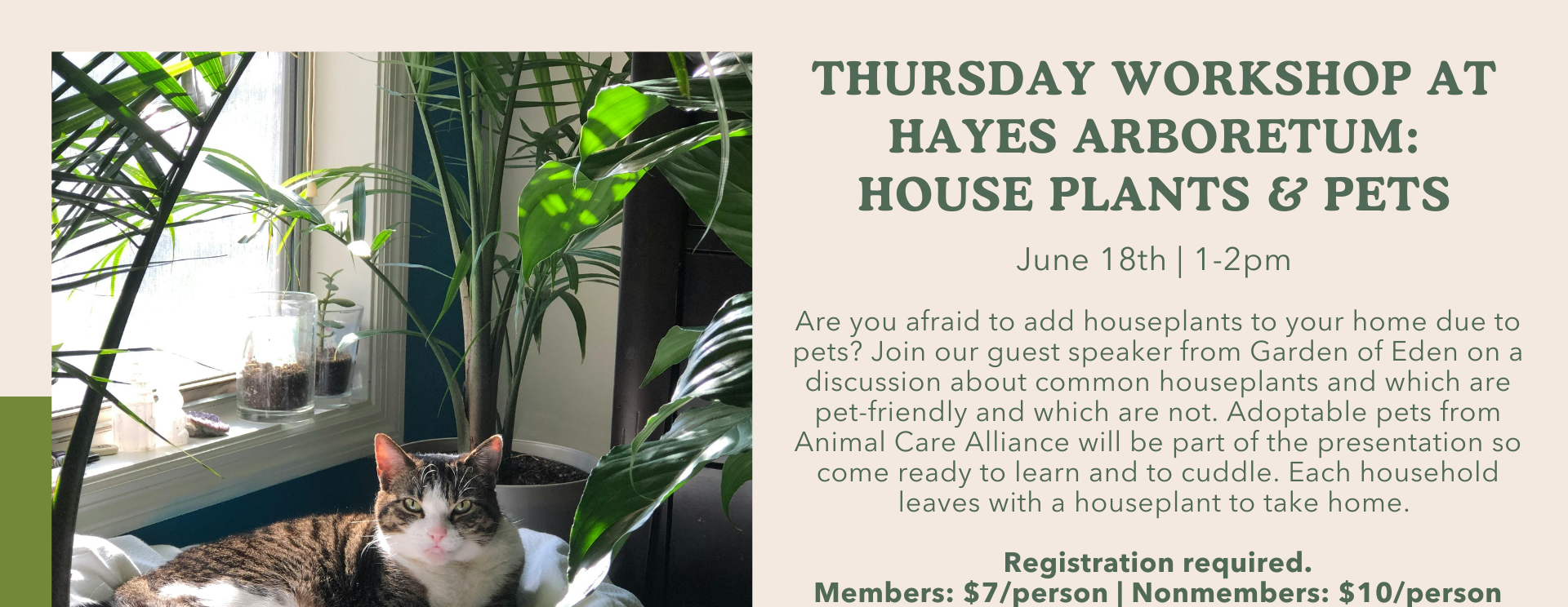 Thursday Workshop: House Plants & Pets